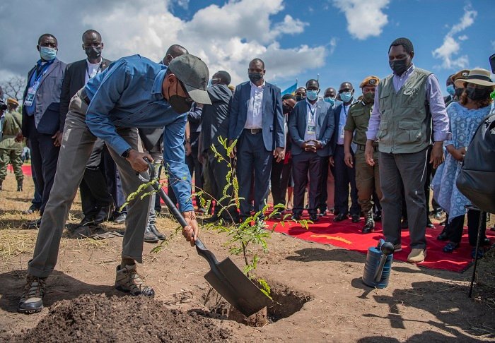 Perezida Kagame na Hakainde Hichilema wa Zambia  bateye igiti gishimangira ubucuti hagati y’ibihugu byombi